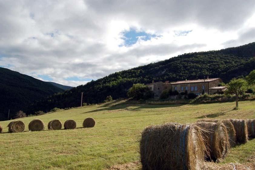 Saint-André-de-Rosans La Ferme De La Condamine B&B 외부 사진
