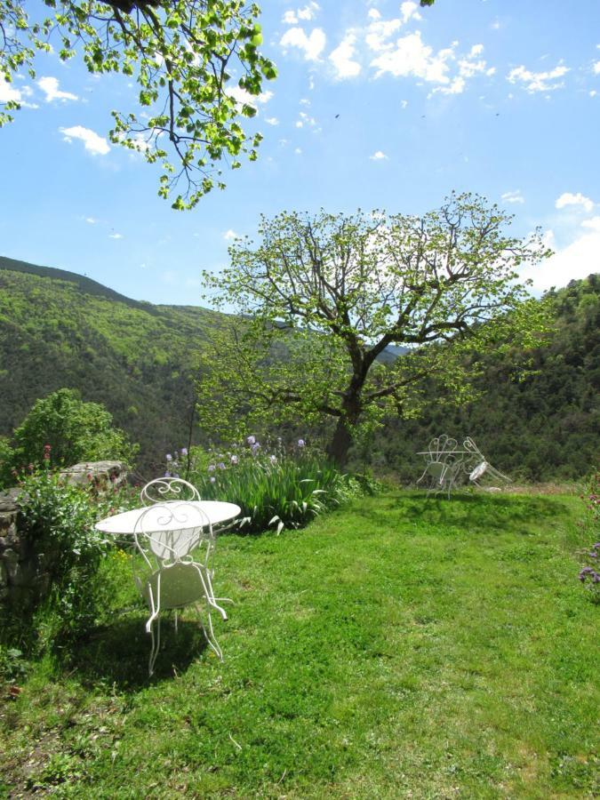 Saint-André-de-Rosans La Ferme De La Condamine B&B 외부 사진