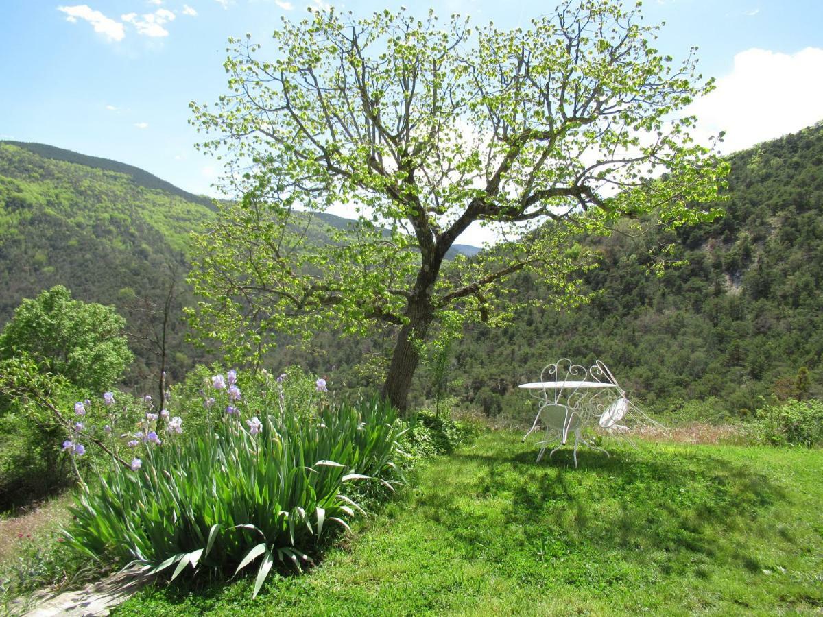 Saint-André-de-Rosans La Ferme De La Condamine B&B 외부 사진