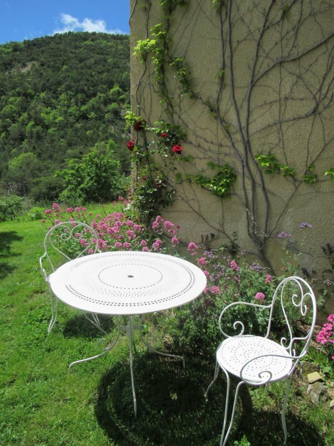 Saint-André-de-Rosans La Ferme De La Condamine B&B 외부 사진
