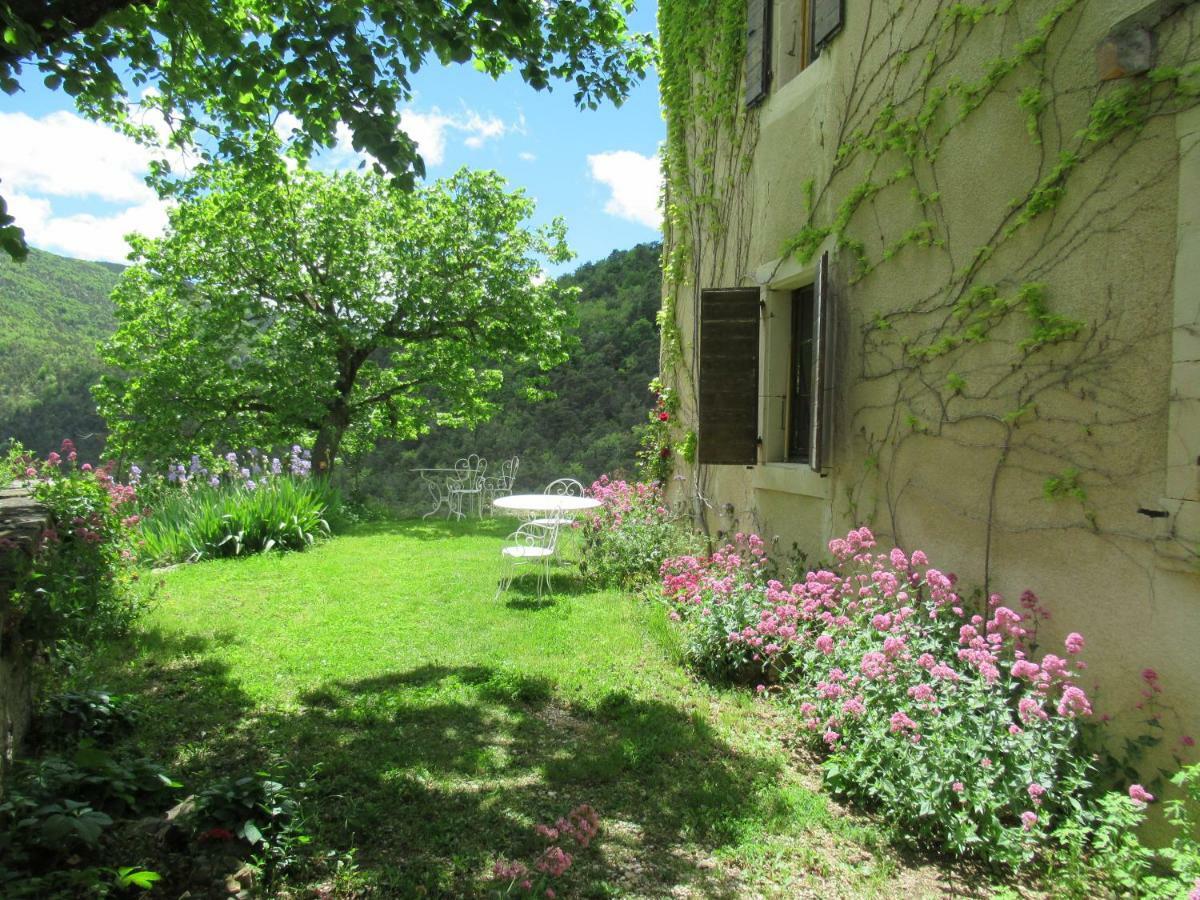 Saint-André-de-Rosans La Ferme De La Condamine B&B 외부 사진