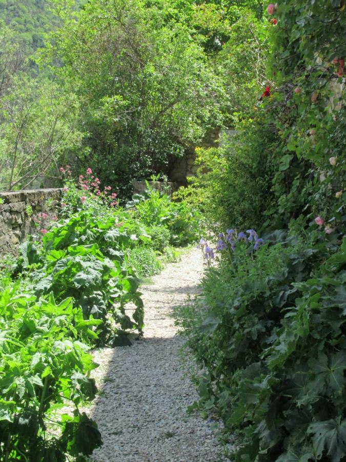 Saint-André-de-Rosans La Ferme De La Condamine B&B 외부 사진